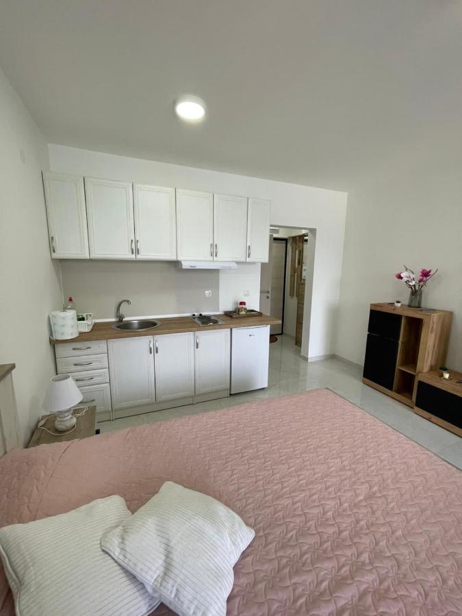 Lake View Tasic Veliko Gradiste Ngoại thất bức ảnh